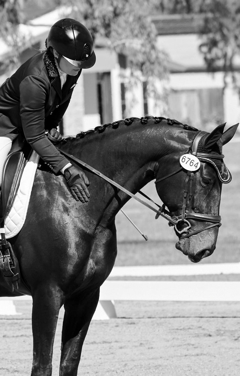files/Dressage_July_0462EDIT.jpg