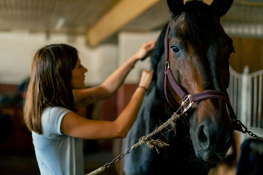 How to GROW your Horses MANE!